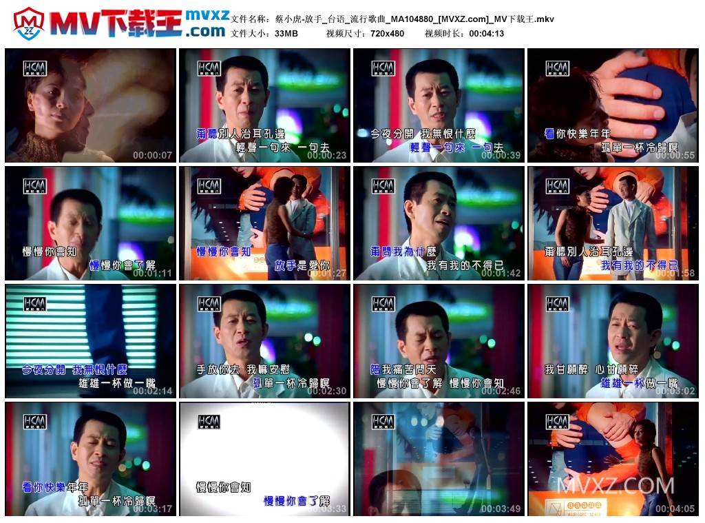 蔡小虎-放手_台语_流行歌曲_MA104880